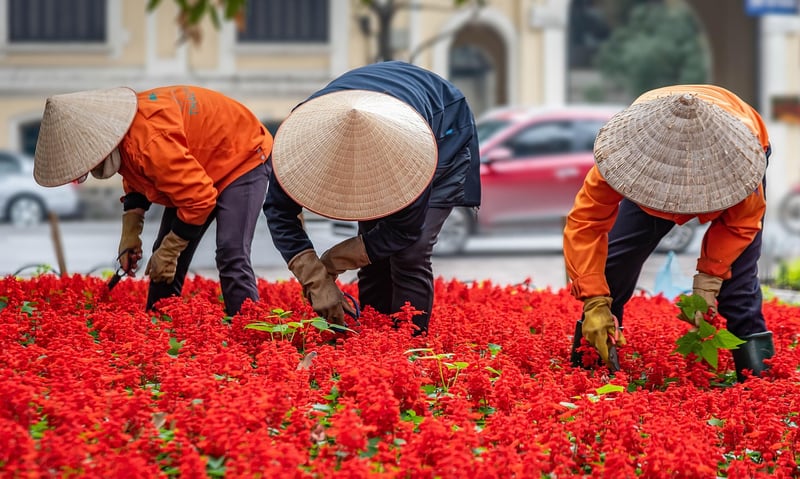 Urban gardening hacks