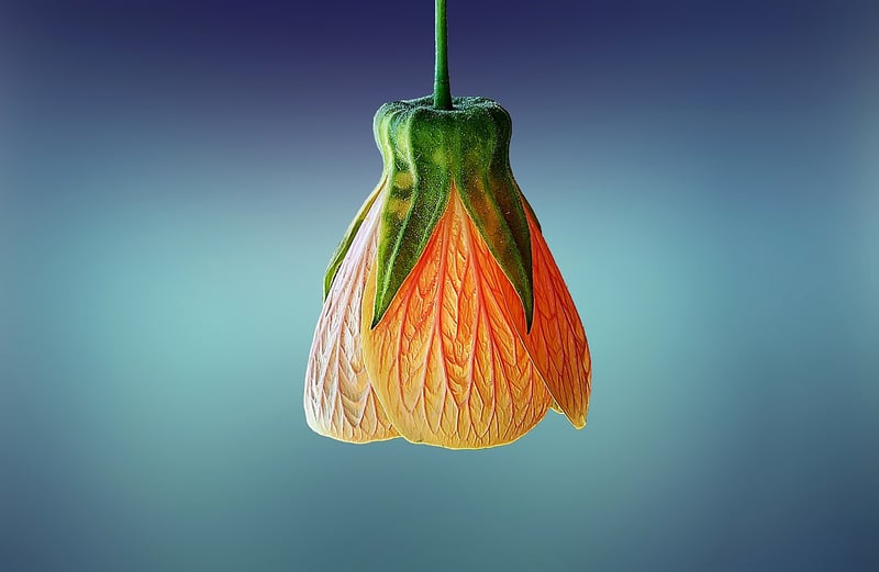 Hanging planters