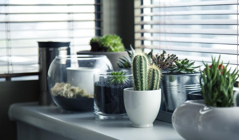 Plant Stand
